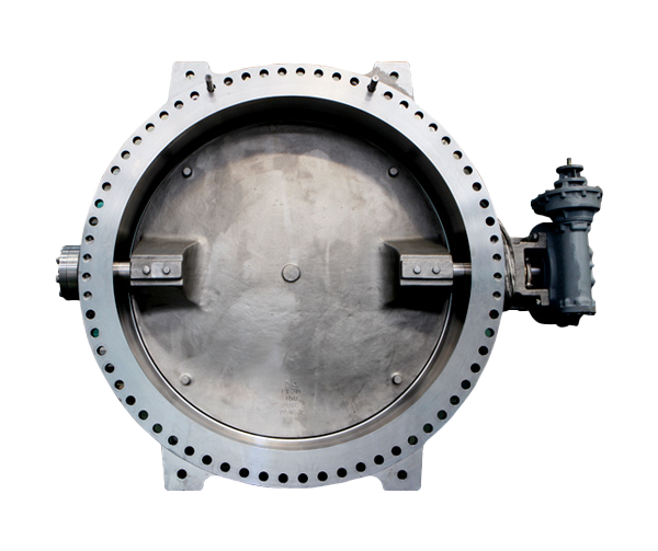 butterfly valve