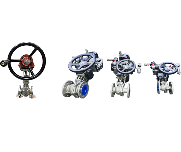 Methanol & Ammonia Valve